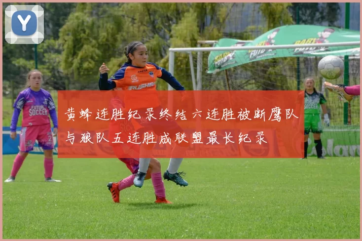 黄蜂连胜纪录终结六连胜被断鹰队与狼队五连胜成联盟最长纪录