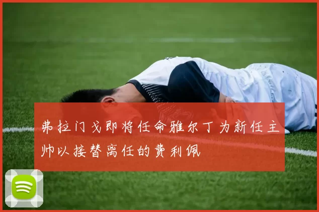 弗拉门戈即将任命雅尔丁为新任主帅以接替离任的费利佩