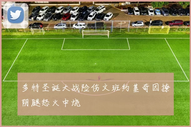 多特圣诞大战险伤文班约基奇因撩阴腿怒火中烧